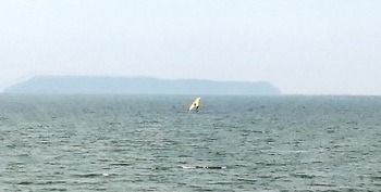 IMG_20211008_140709