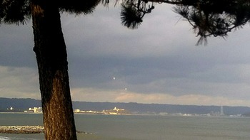 IMG_20201129_081433