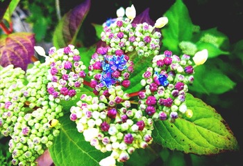IMG_20210506_101146