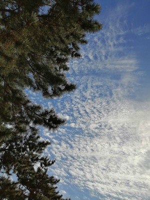 IMG_20210506_170605