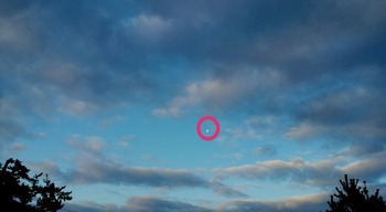 IMG_20210303_071338