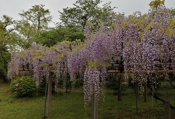 IMG_20210417_105340