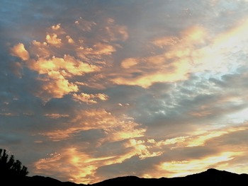 IMG_20211016_064439