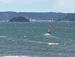 IMG_20241012_133301