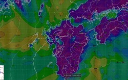 ꡼󥷥å 2024-01-06 091312