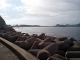 d44b0bc9.JPG