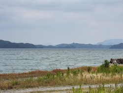 IMG20240526124750