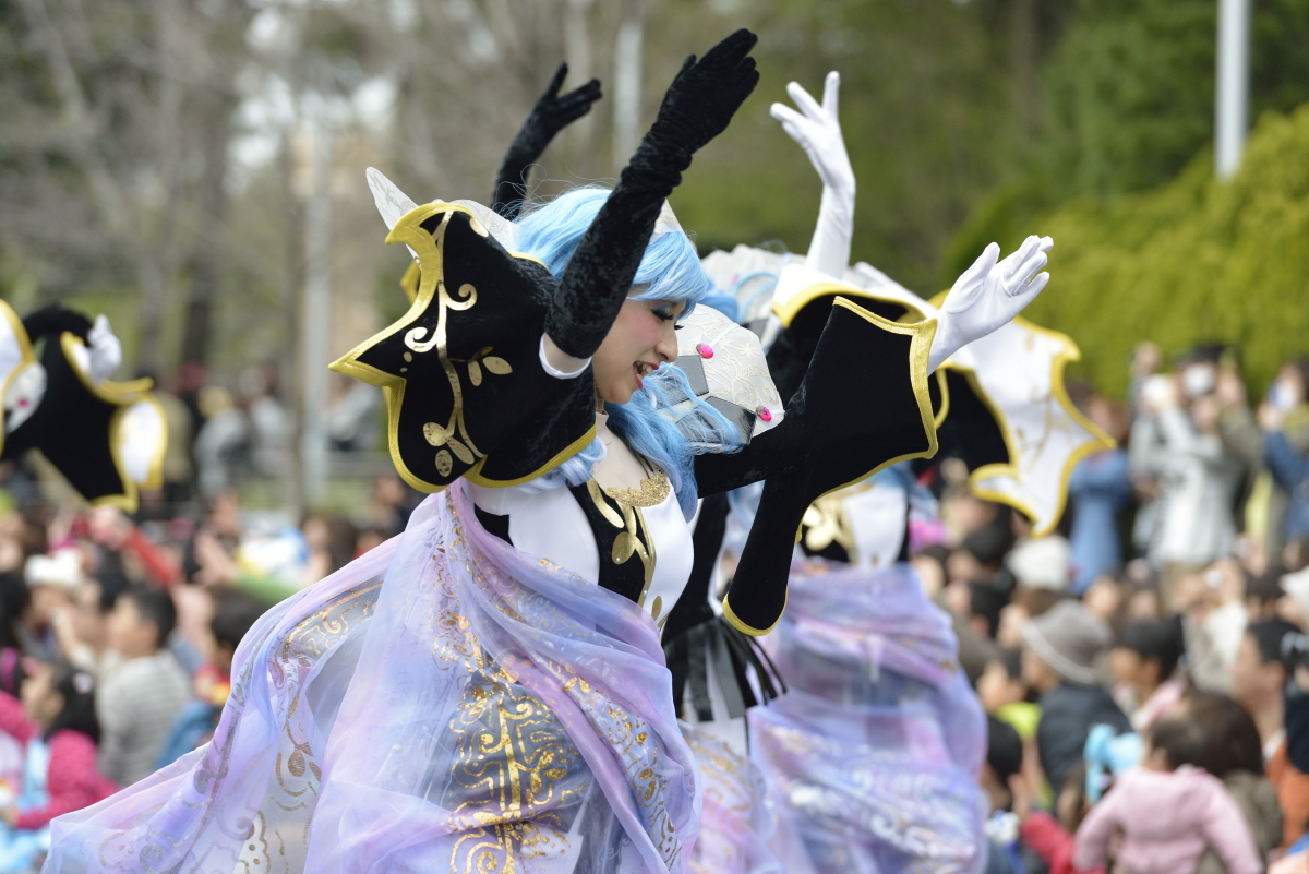 ディズニーランド 武蔵野平野