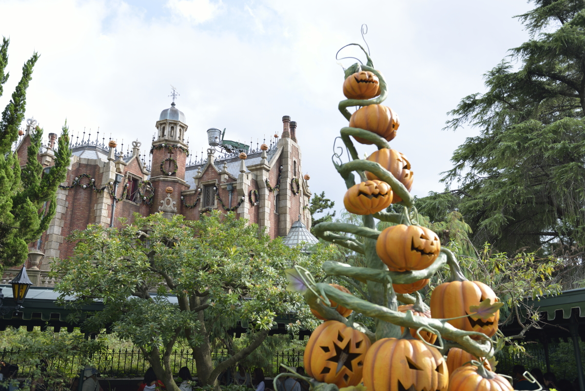 ホーンテッドマンション ホリデーナイトメアー Tdl 12 09 17 武蔵野平野