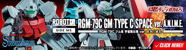 bnr_rs_gm_typec_space_600x163