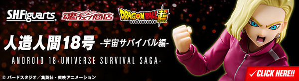 bnr_android18_Ak6Dv8Bc_600x163