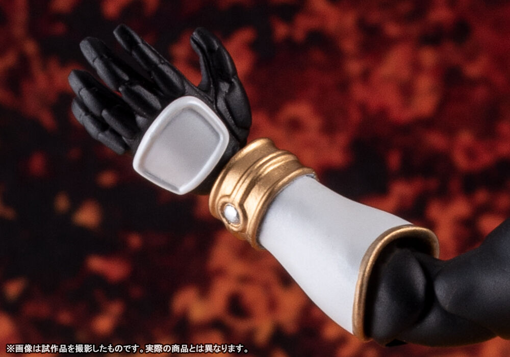 白い4号！5/30受注締切「S.H.Figuarts（真骨彫製法） 仮面