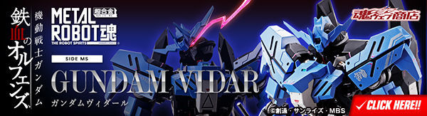 bnr_mr_sidems_vidar_600x163