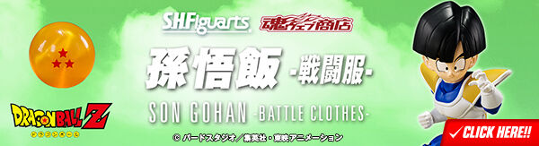 bnr_shf_songohan_saiyanarmor_kU4L2rnR_600x163