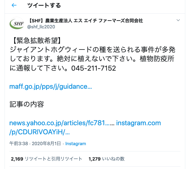 ジャイアントホグウィードの種子は本当に送りつけられたのか 野々瀬建が気になっていること ジャイアントホグウィードの種子は本当に送りつけられたのか 野々瀬建が気になっていること