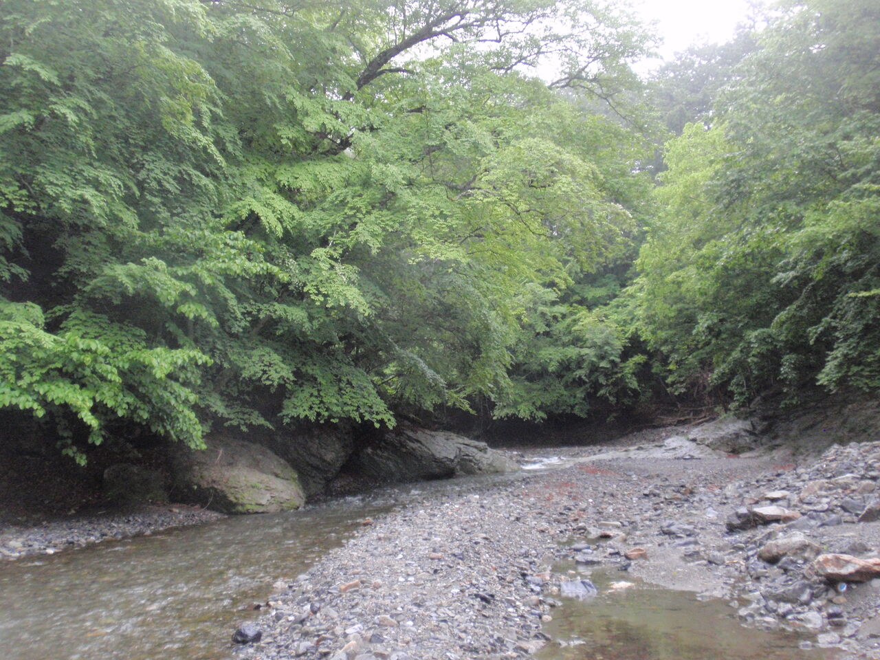 ５月２７日 水 テンカラ渓流釣り 山女魚１匹 岩魚１匹 リンコウ残日録