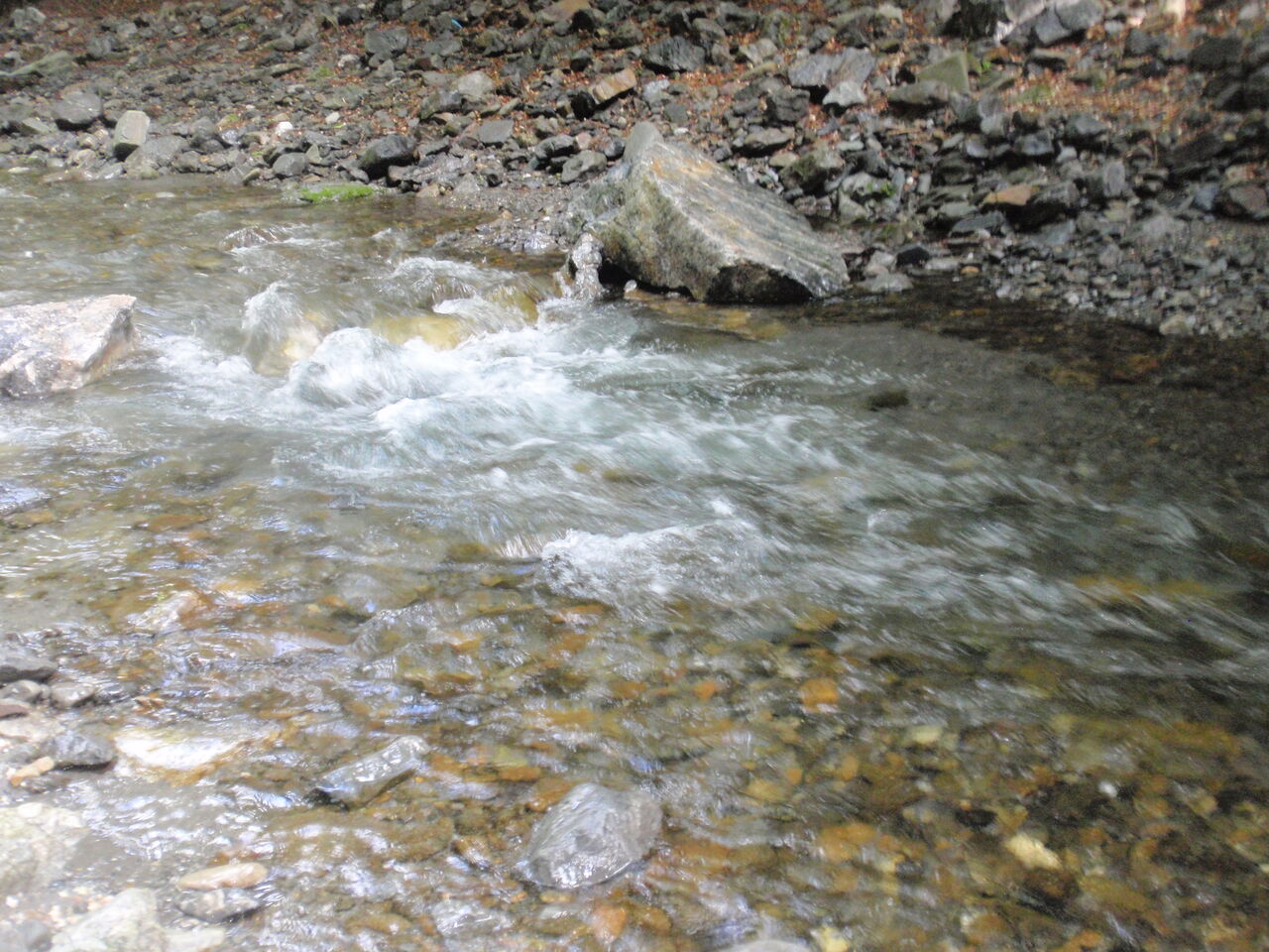 ５月２７日 水 テンカラ渓流釣り 山女魚１匹 岩魚１匹 リンコウ残日録