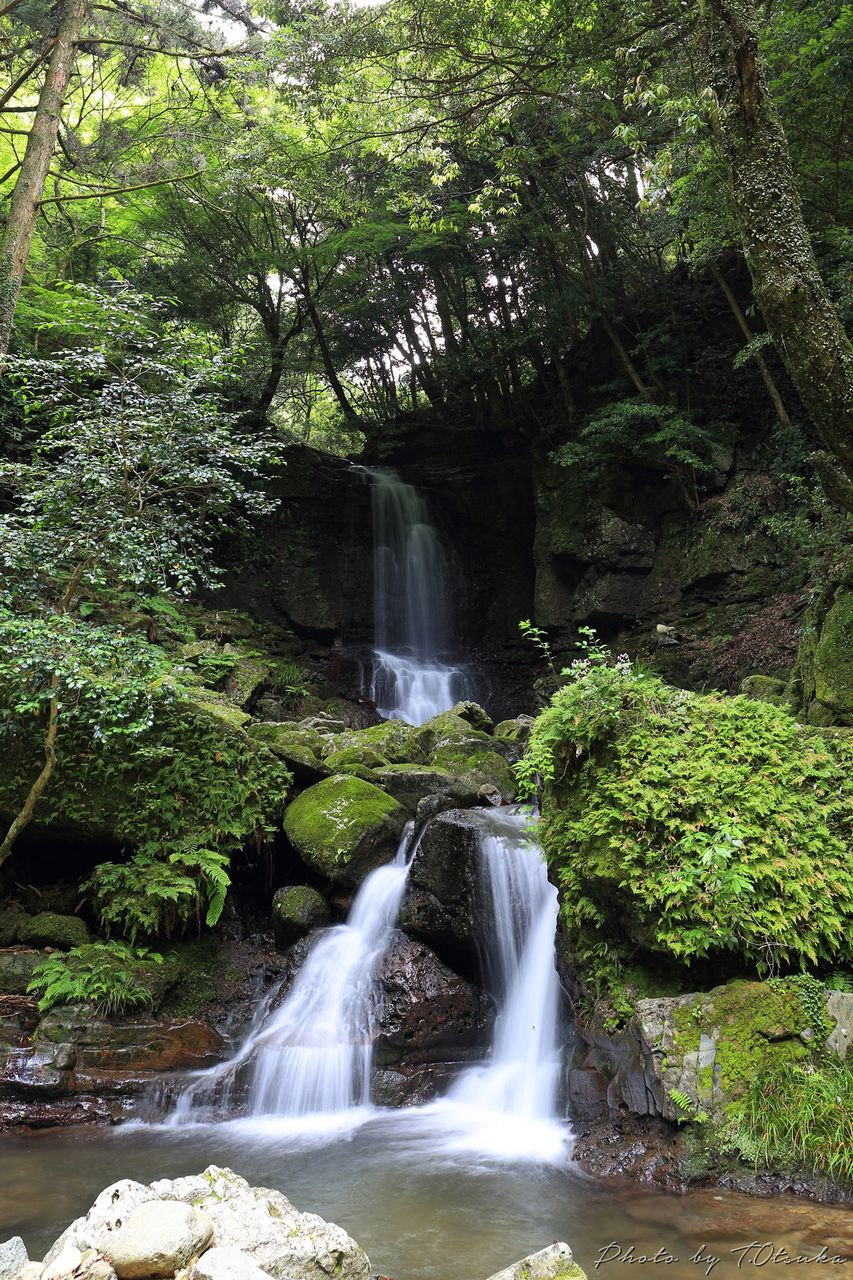 山口県某所のヒメボタル6月11日 天体写真撮影日記 山口県某所のヒメボタル6月11日 天体写真撮影日記