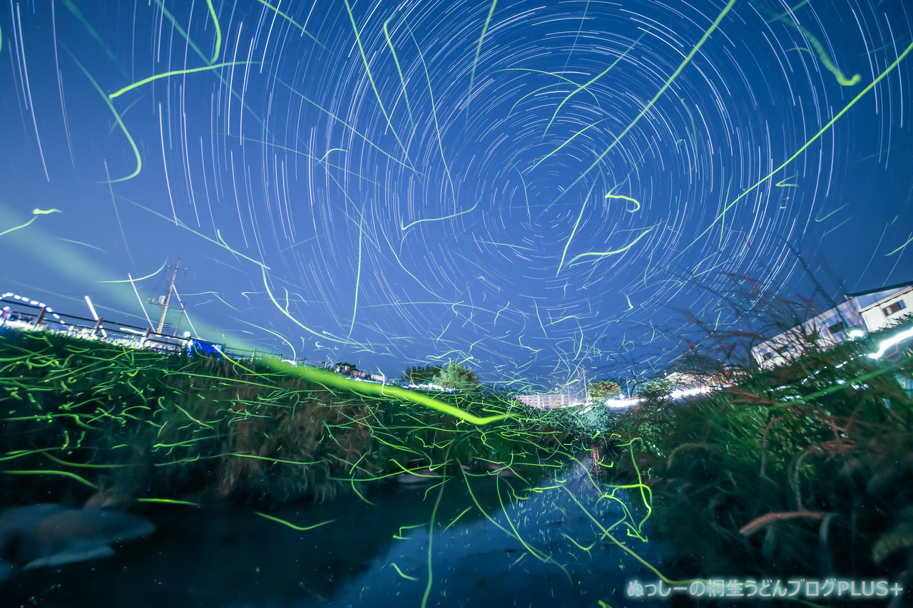 山田川のホタル18 その３ 桐生市川内町 ぬっしーの桐生うどんブログplus