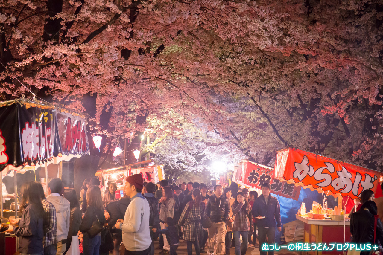 夜桜 赤城南面千本桜まつり ぬっしーの桐生うどんブログplus