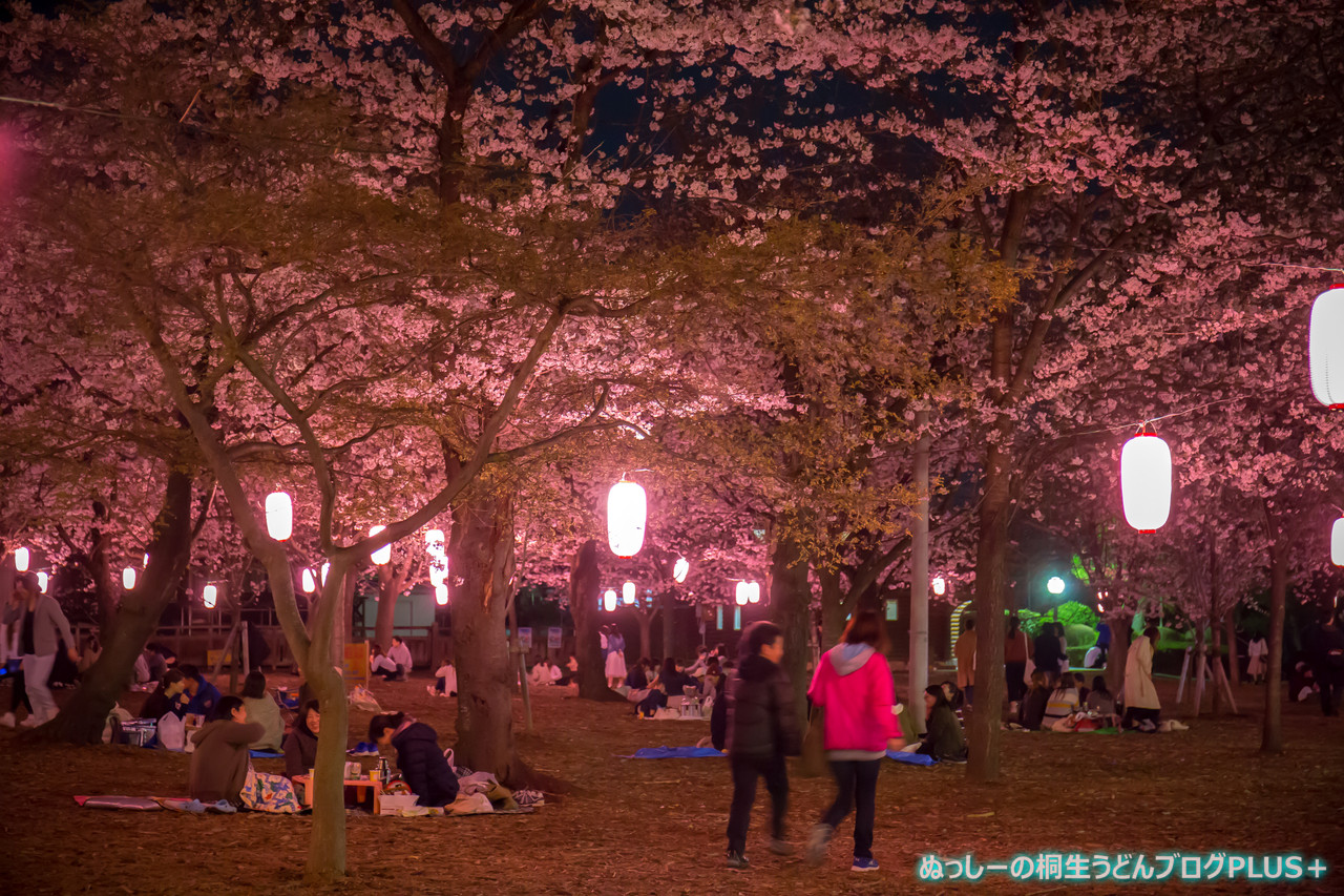 春の夜間営業 夜桜みナイト17 伊勢崎市華蔵寺公園遊園地 ぬっしーの桐生うどんブログplus