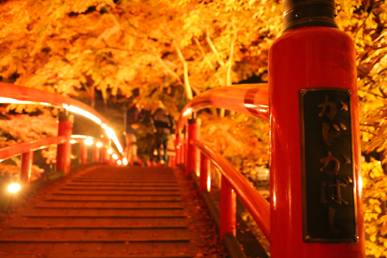 伊香保温泉 河鹿橋 紅葉ライトアップ ぬっしーの桐生うどんブログplus 伊香保温泉 河鹿橋 紅葉ライトアップ ぬっしーの桐生うどんブログplus