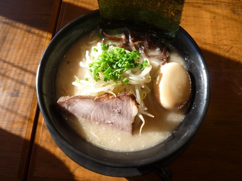 ����Ʋ������Ʋ�顼����̣��