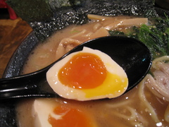 ������̣��