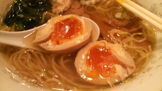 ����̣�̻�