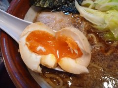 ŷ����̣��