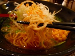 豚龍庵中細麺