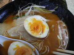 �����ܲȡ�̣��