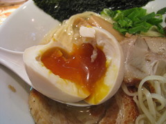 ���ϥ�Ʋ�������������̣�̻�