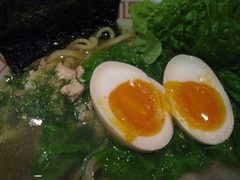 ������̣�̡��쥿�������ܤ�