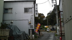 ��Ԣ���ѣ�