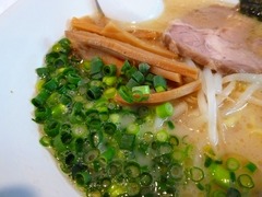 jcメンマ