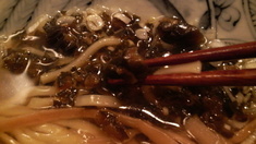 ��¼�������ĳ������͡����奦�����ʪ