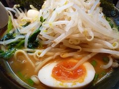 ��Ȭ�ȡ�̣�̡���䤷