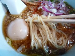 �ݿ�����