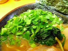 Ǯ���ȥ˥�ۤ������