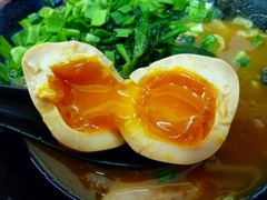 Ǯ����̣��