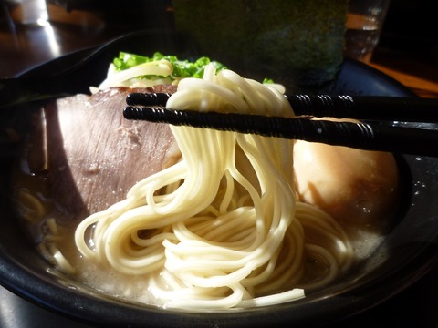 ����Ʋ����