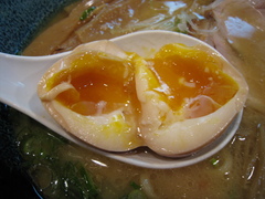 �ͤ�ƻ�ڡ�̣��