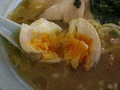 ���Ų�̣��