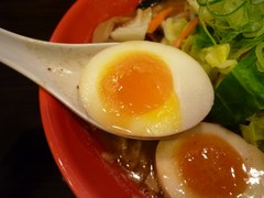 �����ϡ�̣��