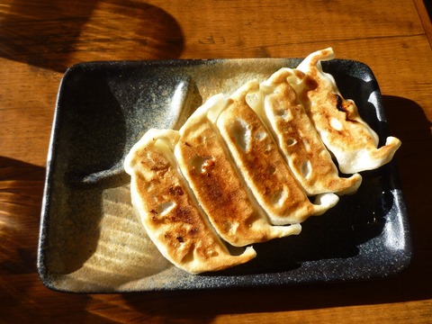 ����Ʋ����