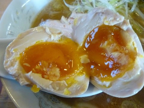 ���塡̣��