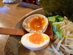 ������̣��