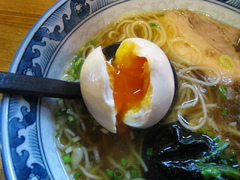 ������̣��