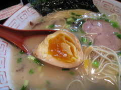 ϻ��Ʋ��̣��